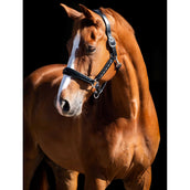 HB Showtime Capezzina Rivet Swarovski Pelle Nero/blu marino HB Showtime Capezzina Rivet Swarovski Pelle Nero/blu marino