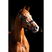 HB Showtime Capezzina Rivet Swarovski Pelle Nero/blu marino HB Showtime Capezzina Rivet Swarovski Pelle Nero/blu marino