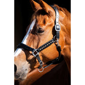 HB Showtime Capezzina Rivet Swarovski Pelle Nero HB Showtime Capezzina Rivet Swarovski Pelle Nero