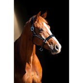 HB Showtime Capezzina Rivet Swarovski Pelle Nero HB Showtime Capezzina Rivet Swarovski Pelle Nero