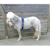 HB Fascia da Addestramento Little Sizes Royal Blue HB Fascia da Addestramento Little Sizes Royal Blue