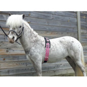 HB Fascia da Addestramento Little Sizes Rosa HB Fascia da Addestramento Little Sizes Rosa