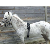 HB Fascia da Addestramento Little Sizes Nero HB Fascia da Addestramento Little Sizes Nero