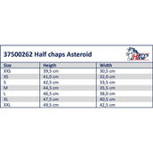 Harry's Horse Minichaps Asteroid Nero Harry's Horse Minichaps Asteroid Nero