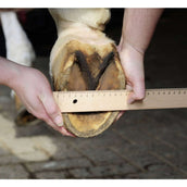 HKM Ferratura Nero HKM Ferratura Nero