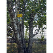 Agradi Flybuster Trappola da Giardino Esca Incl. Agradi Flybuster Trappola da Giardino Esca Incl.