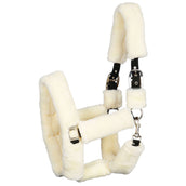 Harry's Horse Capezzina Teddy Harry's Horse Capezzina Teddy