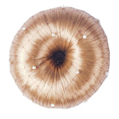 HORKA Retina per capelli Pearl Marrone HORKA Retina per capelli Pearl Marrone