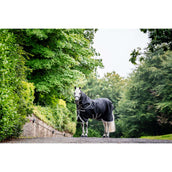 Amigo Turnout 1200D Plus 50g Nero/Grigio Titanio/Argento Amigo Turnout 1200D Plus 50g Nero/Grigio Titanio/Argento