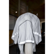 Amigo Flyrider Argento/Grigio Titanio/Argento Amigo Flyrider Argento/Grigio Titanio/Argento