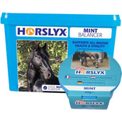 Horslyx Pietra da Leccare Mint Horslyx Pietra da Leccare Mint