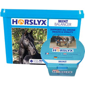 Horslyx Pietra da Leccare Mint Horslyx Pietra da Leccare Mint