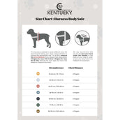 Kentucky Dogwear Imbracatura Body Safe Azzurro Kentucky Dogwear Imbracatura Body Safe Azzurro