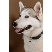 Kentucky Dogwear Collare per Cane Soft Vegan Leather Blu marino/beige Kentucky Dogwear Collare per Cane Soft Vegan Leather Blu marino/beige