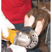 Kerbl Disco Abrasivo per Zoccoli Profi 6-cut Metallo Kerbl Disco Abrasivo per Zoccoli Profi 6-cut Metallo