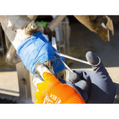 Kerbl Forbici per medicazione Acciaio inossidabile Kerbl Forbici per medicazione Acciaio inossidabile