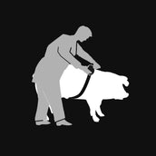 Cinghia di misurazione per bestiame Kerbl Cinghia di misurazione per bestiame Kerbl