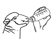 Kerbl Biberon per Agnelli Plexiglas Kerbl Biberon per Agnelli Plexiglas