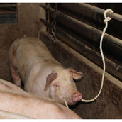 Kerbl Guinzaglio di Presentazione Kerbl Guinzaglio di Presentazione