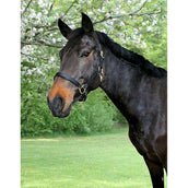 Covalliero Capezzina Marrone Covalliero Capezzina Marrone