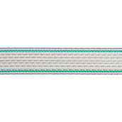 Ako Nastro per Recinzione Premium Plus Bianco/Verde Ako Nastro per Recinzione Premium Plus Bianco/Verde