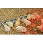 Kerbl Mangiatoia per pollame Metallo Kerbl Mangiatoia per pollame Metallo