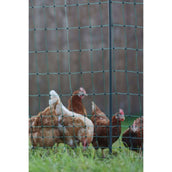 Ako Rete per pollame Premium Electified Verde Ako Rete per pollame Premium Electified Verde