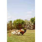 Ako Rete per pollame Punta Doppia Arancia Ako Rete per pollame Punta Doppia Arancia