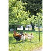 Ako Rete per pollame Punta Doppia Verde Ako Rete per pollame Punta Doppia Verde