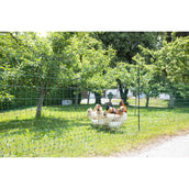 Ako Rete per pollame Punta Doppia Verde Ako Rete per pollame Punta Doppia Verde