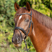 Kieffer Briglia Ultrasoft Economy II Nero Kieffer Briglia Ultrasoft Economy II Nero