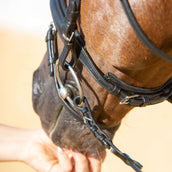 Kieffer Briglia Ultrasoft Economy II Nero Kieffer Briglia Ultrasoft Economy II Nero