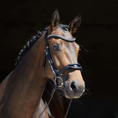 Kieffer Briglia Nero/lacca Kieffer Briglia Nero/lacca