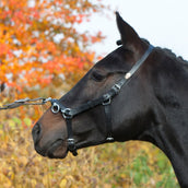 Kieffer Cavezzone Perfect Nero Kieffer Cavezzone Perfect Nero