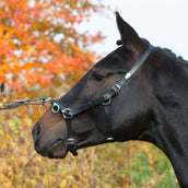 Kieffer Cavezzone Perfect Nero Kieffer Cavezzone Perfect Nero