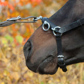 Kieffer Cavezzone Perfect Nero Kieffer Cavezzone Perfect Nero