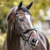 Kavalkade Briglia Ivana Nero Kavalkade Briglia Ivana Nero