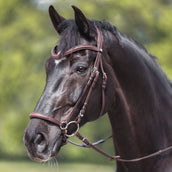 Kavalkade Briglia Everana Hannover Marrone Kavalkade Briglia Everana Hannover Marrone