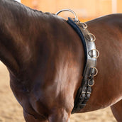 Kavalkade Fascia da Addestramento Frame Nero Kavalkade Fascia da Addestramento Frame Nero