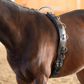 Kavalkade Fascia da Addestramento Frame Nero Kavalkade Fascia da Addestramento Frame Nero