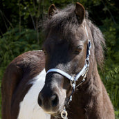 Kavalkade Capezzina Shorty Blu Kavalkade Capezzina Shorty Blu