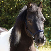 Kavalkade Capezzina Shorty Navy Kavalkade Capezzina Shorty Navy