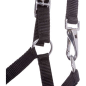 Kavalkade Capezzina Puledro e Yearling Nero Kavalkade Capezzina Puledro e Yearling Nero