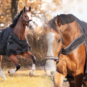 Kavalkade Coperta da paddock / giostra Halifax 2in1 50g Nero Kavalkade Coperta da paddock / giostra Halifax 2in1 50g Nero