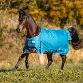 Kavalkade Tappeto da Esterno Alaska IV 100g Benzina/Benzina/Bordeaux/Bianco Kavalkade Tappeto da Esterno Alaska IV 100g Benzina/Benzina/Bordeaux/Bianco