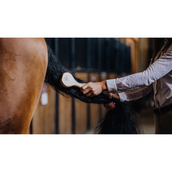 Kentucky Spazzola per criniera Kentucky Spazzola per criniera