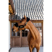 Kentucky Horsewear Cavezza Nylon Lana Morbida Nero Kentucky Horsewear Cavezza Nylon Lana Morbida Nero