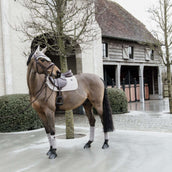 Kentucky Fasce Basic Velvet Fleece Beige Kentucky Fasce Basic Velvet Fleece Beige