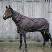 Kentucky Horsewear Turnout All Weather 160g Marrone Kentucky Horsewear Turnout All Weather 160g Marrone