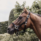 Kentucky Horsewear Cavezza Nylon intrecciato Nero Kentucky Horsewear Cavezza Nylon intrecciato Nero